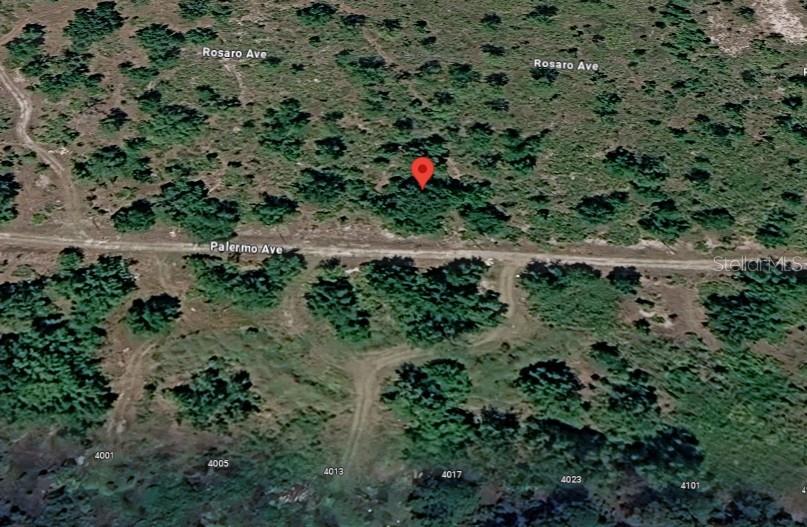 This is an aerial map view of a wooded lot with a red location pin — 4021 PALERMO AVENUE, SEBRING, FL