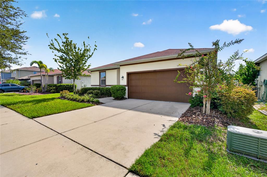 A single-story house with a two-car garage, a concrete driveway, and a landscaped front yard — 11411 TANGLE BRANCH LANE, GIBSONTON, FL