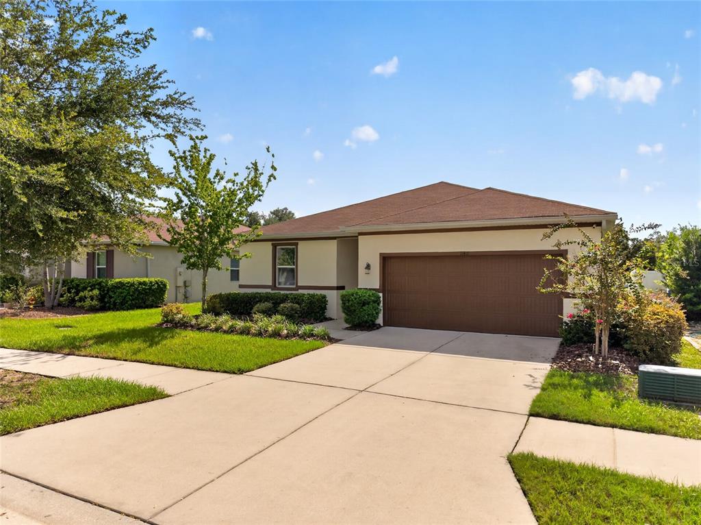 A single-story house with a brown garage door, tan stucco exterior, and a concrete driveway — 11411 TANGLE BRANCH LANE, GIBSONTON, FL