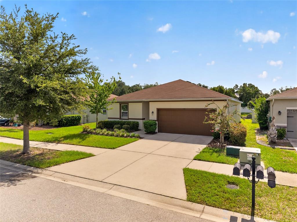 A single-story house with a brown roof, tan stucco exterior, and a two-car garage — 11411 TANGLE BRANCH LANE, GIBSONTON, FL