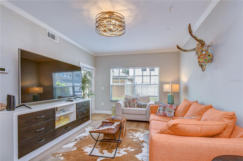 A living room features an orange sofa, a cowhide rug, and a decorative animal skull — 800 S DAKOTA AVENUE UNIT 121, TAMPA, FL