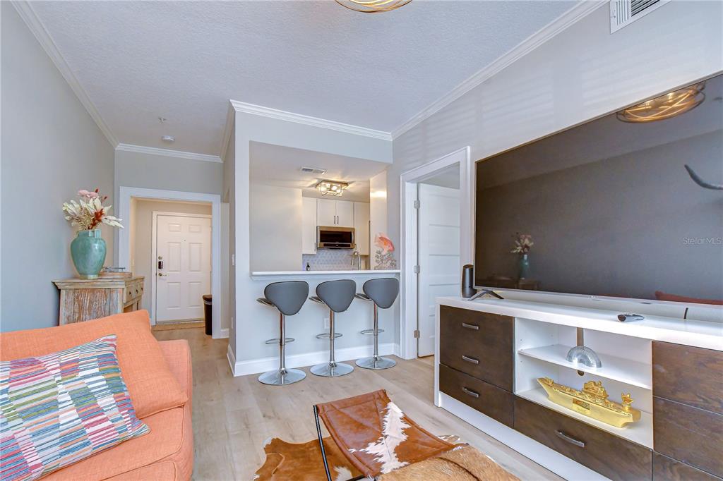 A living room features a large television, a breakfast bar with three stools, and light flooring — 800 S DAKOTA AVENUE UNIT 121, TAMPA, FL