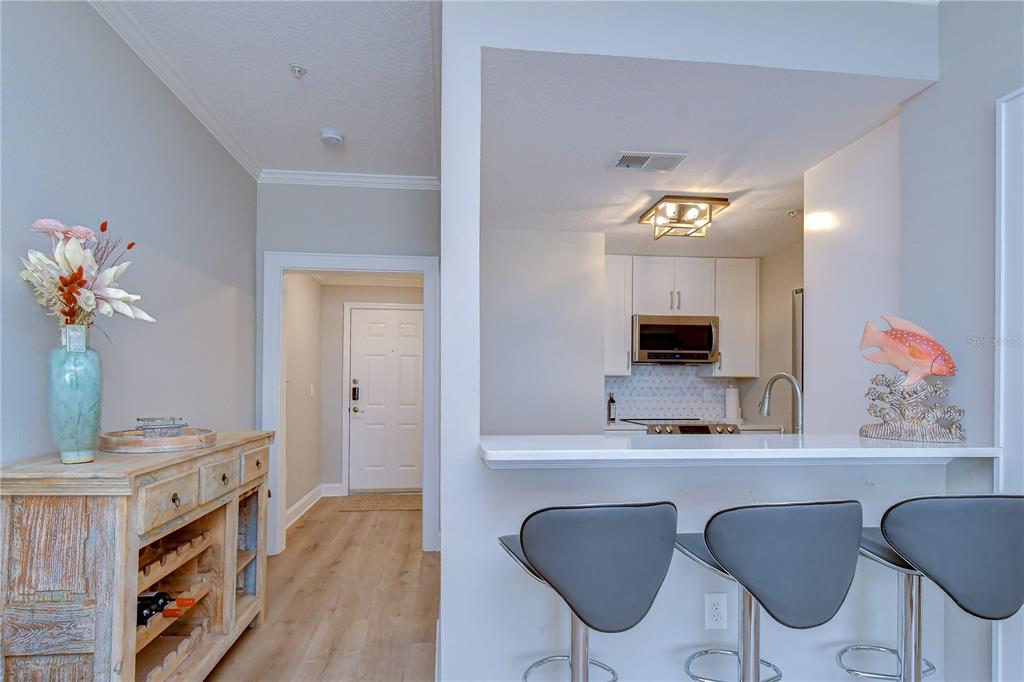 A kitchen with white cabinets and a breakfast bar overlooks a hallway with a console — 800 S DAKOTA AVENUE UNIT 121, TAMPA, FL