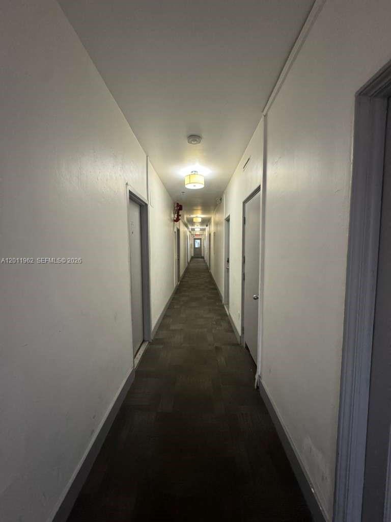 A long, narrow apartment building hallway features gray doors, white walls, and dark carpeting — 3700 Collins Ave # 309, Miami Beach FL 33140, MIAMI BEACH, FL