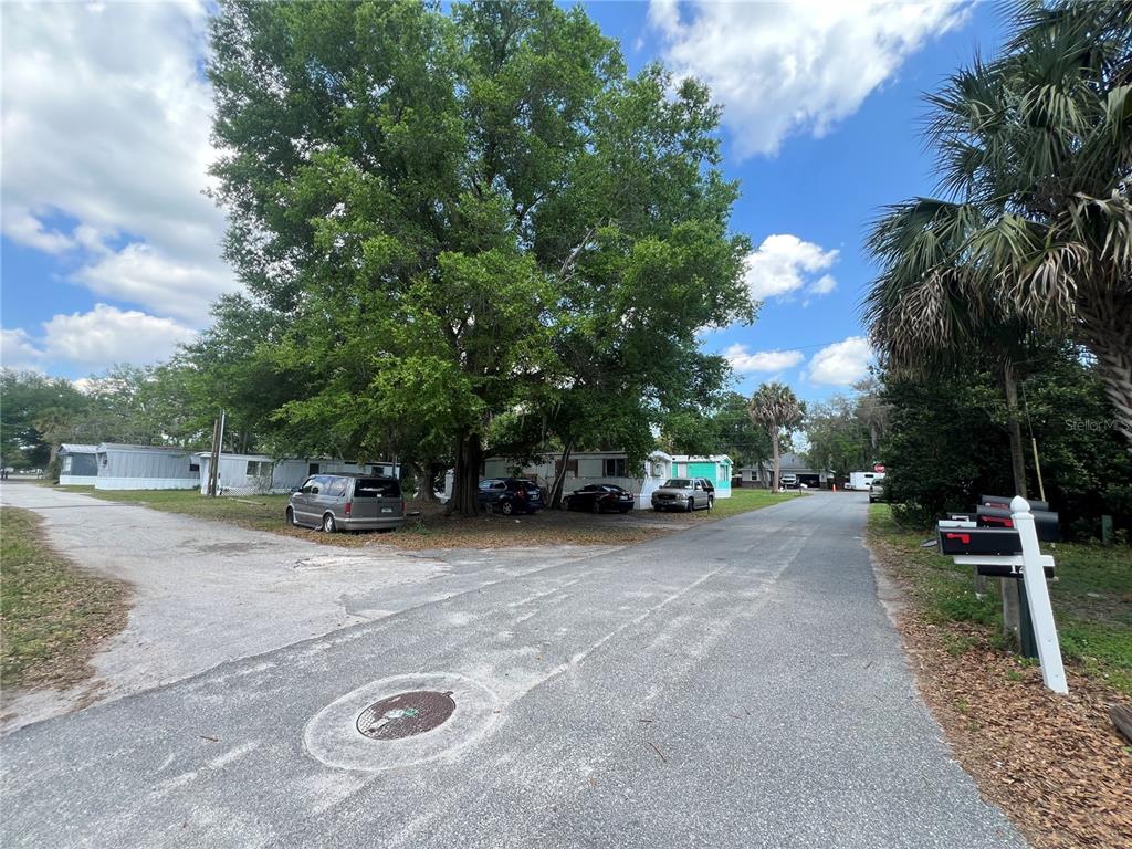 A paved street leads toward several mobile homes shaded by a large, mature tree — 30 WAFFORD STREET, UMATILLA, FL