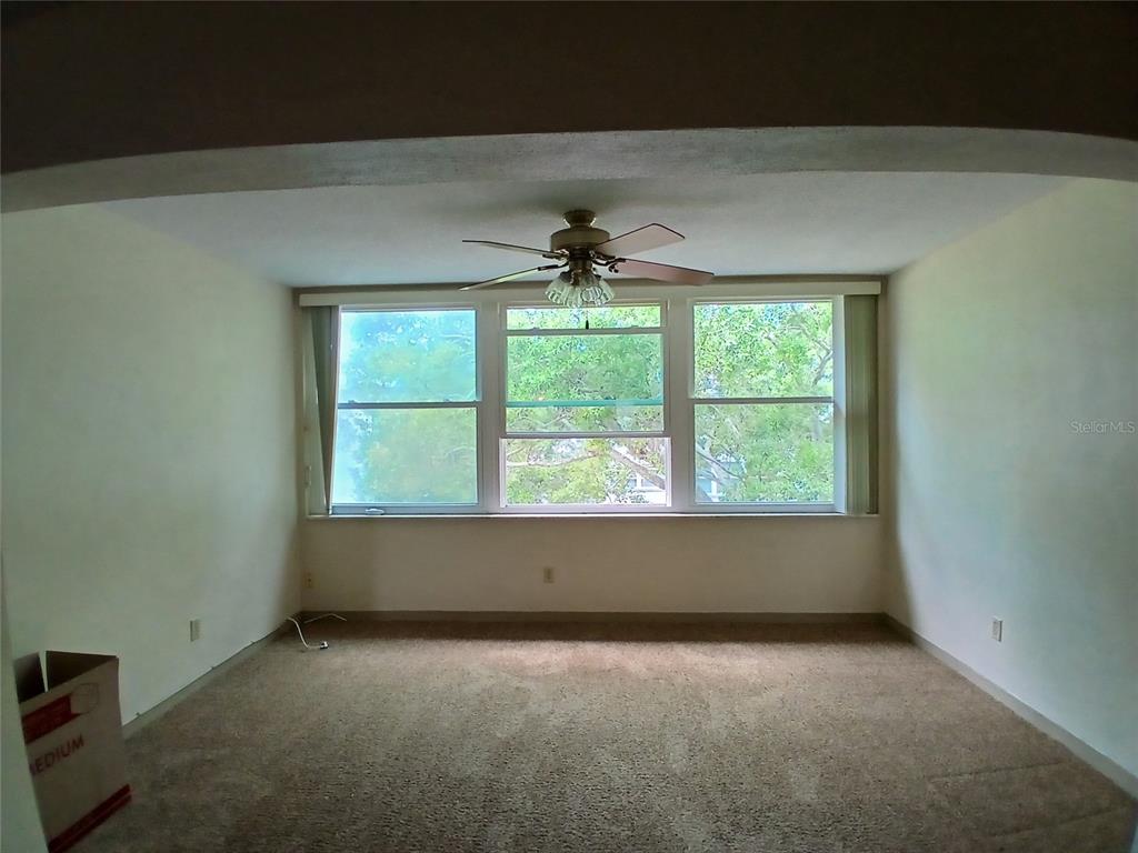A carpeted room features a ceiling fan and a large window overlooking trees — 5880 38TH AVENUE N UNIT 304, ST PETERSBURG, FL