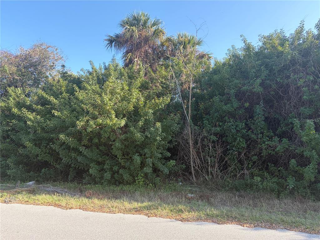 A dense, overgrown lot with trees and shrubs sits next to a paved road — 14499 RANSOM AVENUE, PORT CHARLOTTE, FL