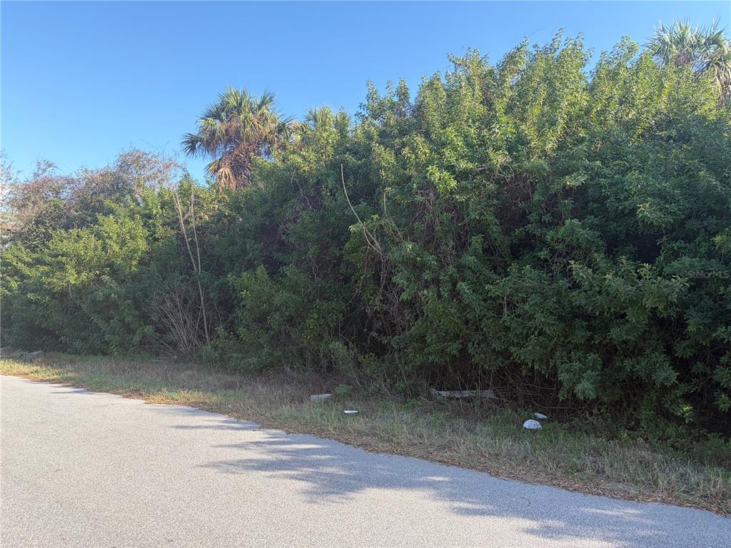 A paved road runs alongside a dense, overgrown lot filled with trees and shrubs — 14499 RANSOM AVENUE, PORT CHARLOTTE, FL