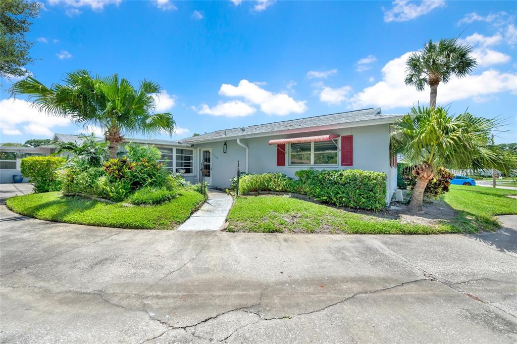 A single-story house with a concrete driveway, palm trees, and red window shutters — 1608 WHITEBRIDGE DRIVE UNIT B, PALM HARBOR, FL
