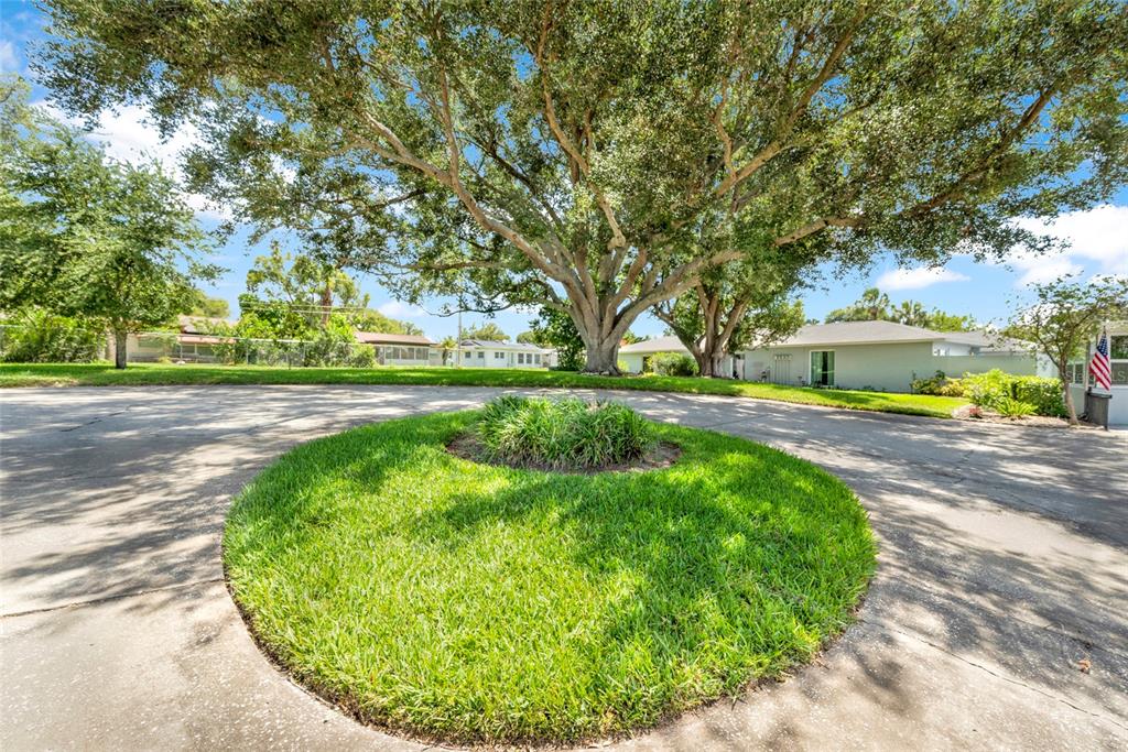A circular grass island sits in the center of a paved residential cul-de-sac — 1608 WHITEBRIDGE DRIVE UNIT B, PALM HARBOR, FL