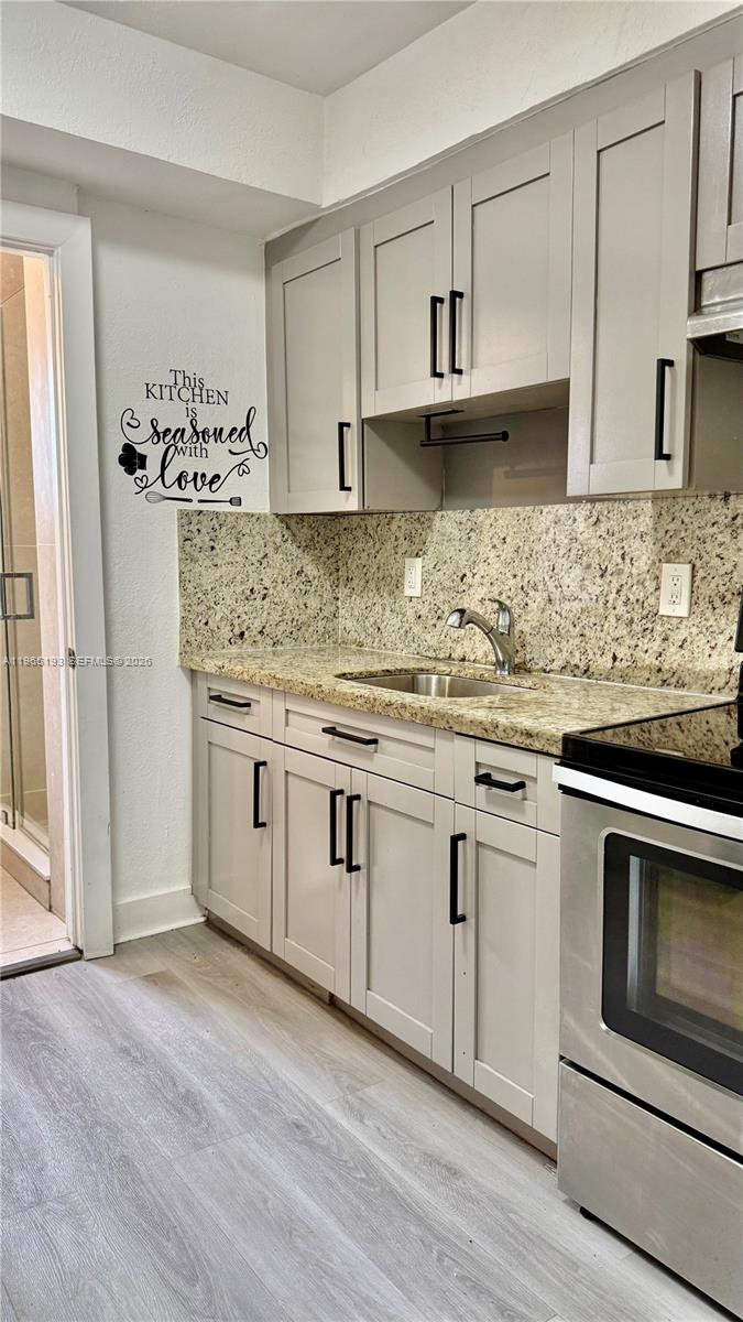 A kitchen features light gray cabinets, granite countertops, a stainless steel sink, and wood-look flooring — 2238 NW 5th St # 1, Miami FL 33125, MIAMI, FL