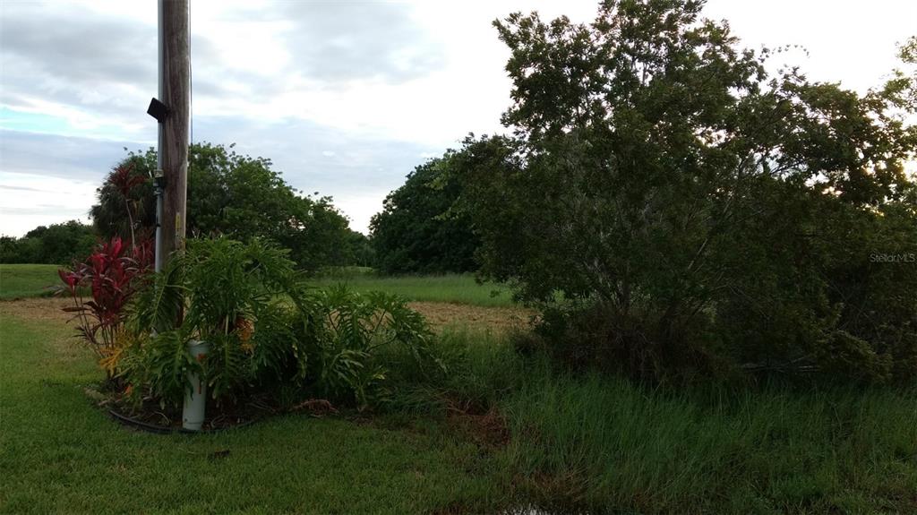 A utility pole stands near a landscaped garden bed next to an open, grassy field — 670 MIRROR LAKES COURT, LEHIGH ACRES, FL