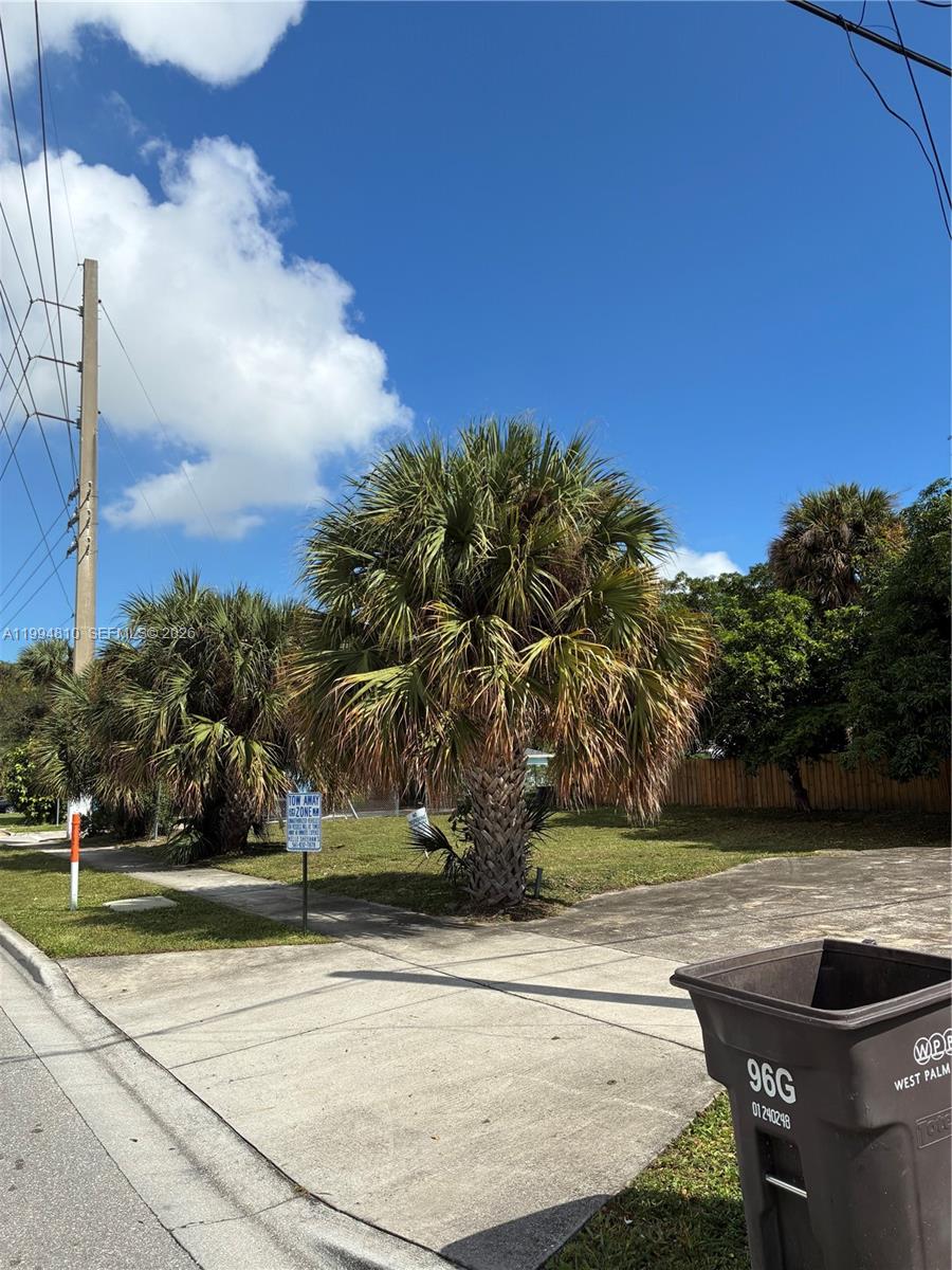 A view of a grassy lot with palm trees and a trash bin outdoors — 547 17th St, West Palm Beach FL 33407, WEST PALM BEACH, FL