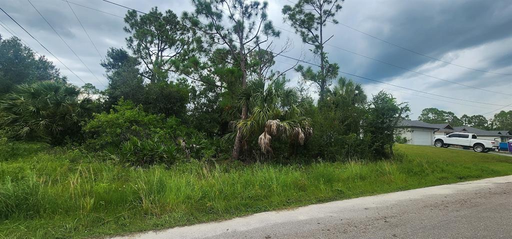 A vacant, wooded residential lot sits next to a house with a white pickup truck parked — 22436 DONALDA AVENUE, PORT CHARLOTTE, FL