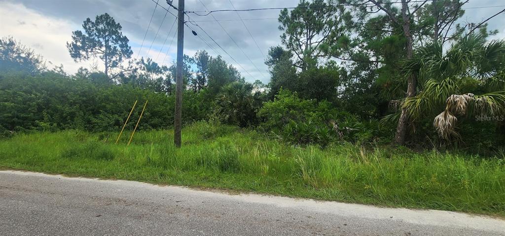 A grassy, undeveloped lot with trees and a utility pole along a paved road — 22436 DONALDA AVENUE, PORT CHARLOTTE, FL