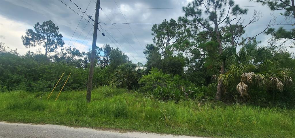 A vacant, wooded lot with tall grass and a utility pole along a paved road — 22436 DONALDA AVENUE, PORT CHARLOTTE, FL