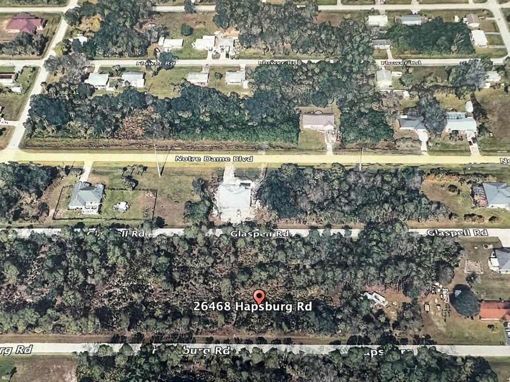 A paved road runs in front of a vacant, wooded lot with various trees and shrubs — 26468 HAPSBURG ROAD, PUNTA GORDA, FL