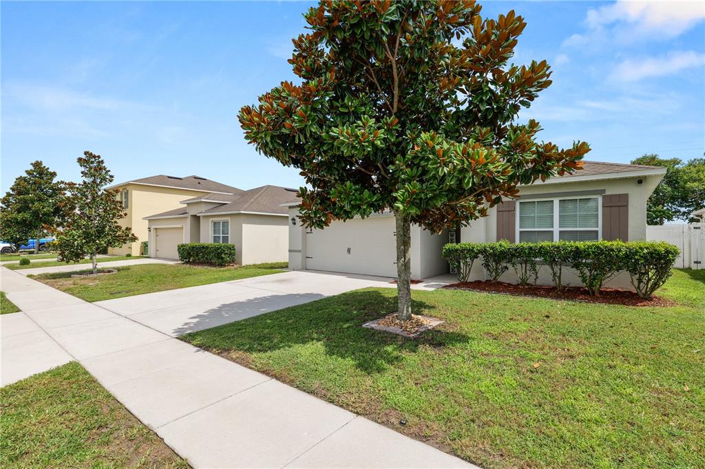 A single-story suburban house with a concrete driveway, a large tree, and a manicured lawn — 3136 COUNTRY CLUB CIRCLE, WINTER HAVEN, FL