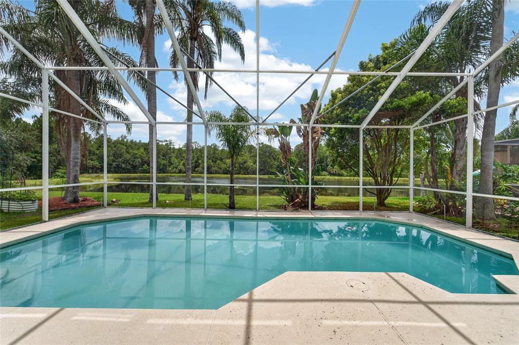 A screened-in swimming pool overlooks a grassy yard and a pond with surrounding trees — 19128 MEADOW PINE DRIVE, TAMPA, FL