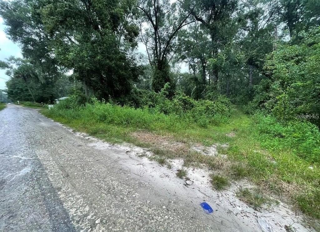 A dirt road runs alongside a vacant, overgrown lot filled with trees and brush — UNDETERMINED, SUMMERFIELD, FL