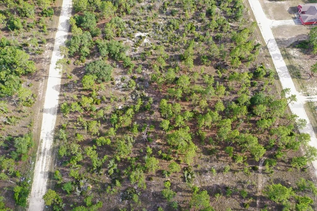 An aerial view shows a wooded, undeveloped rectangular lot situated between two dirt roads — 0000 NE 132 TERRACE LOT 4 TERRACE, WILLISTON, FL