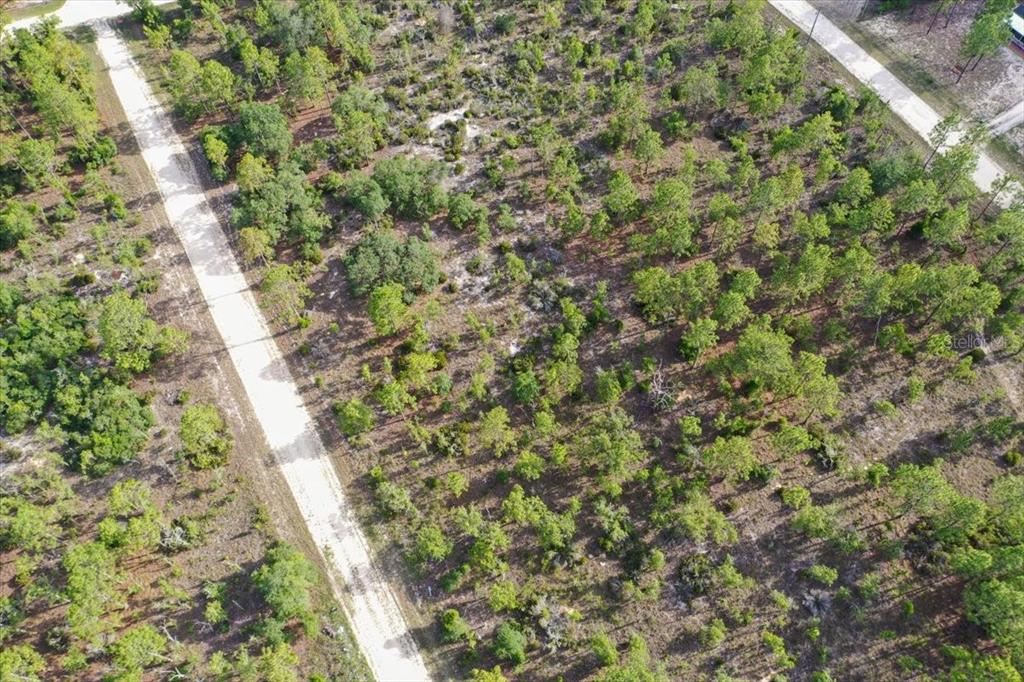 An aerial view shows a dirt road running through a wooded, undeveloped plot of land — 0000 NE 132 TERRACE LOT 4 TERRACE, WILLISTON, FL