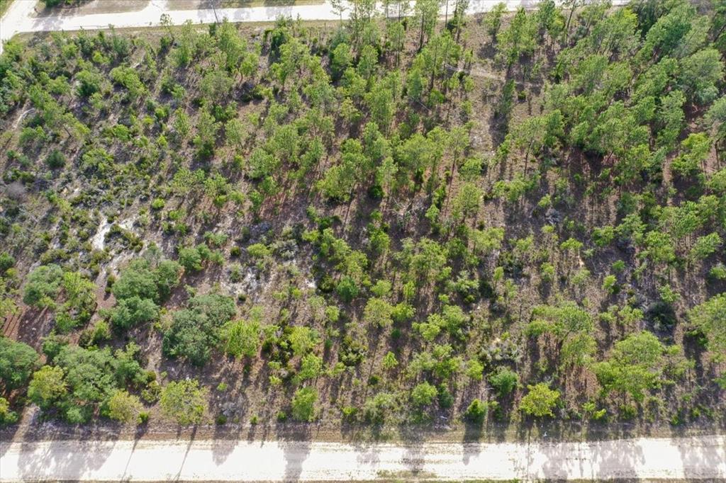 An aerial view shows a rectangular, wooded plot of land bordered by two dirt roads — 0000 NE 132 TERRACE LOT 4 TERRACE, WILLISTON, FL