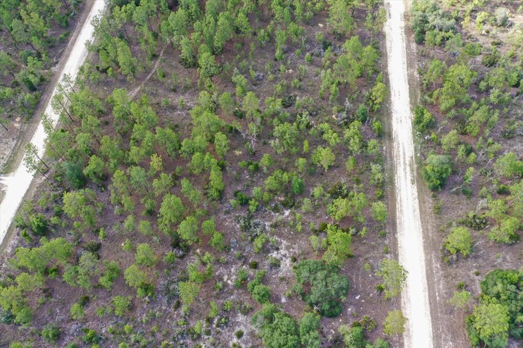 An aerial view shows a wooded lot bordered by two dirt roads — 0000 NE 132 TERRACE LOT 4 TERRACE, WILLISTON, FL