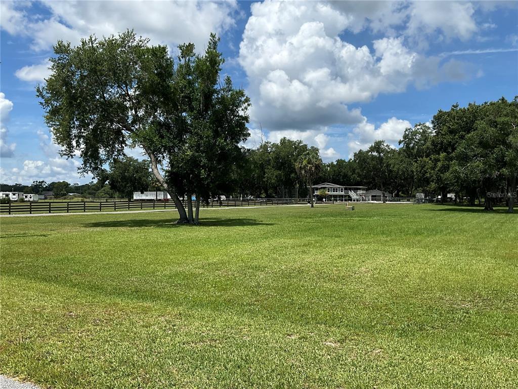 A large, grassy field features a prominent tree and a distant house behind a fence — 3180 CANTER LANE, KISSIMMEE, FL