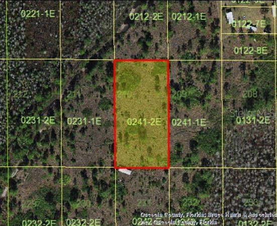 HOLOPAW GROVES ROAD, ST CLOUD, FL — photo 4 of 6