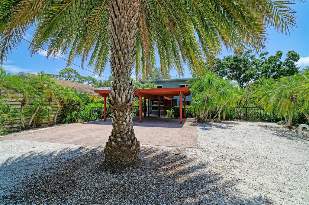A large palm tree stands in front of a paved patio with a wooden pergola — 4509 S LOCKWOOD RIDGE ROAD, SARASOTA, FL