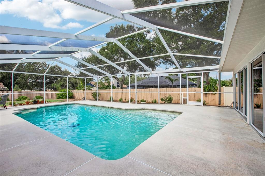 A swimming pool with a screen enclosure and concrete deck in a fenced backyard — 3949 APPLETREE DRIVE, VALRICO, FL
