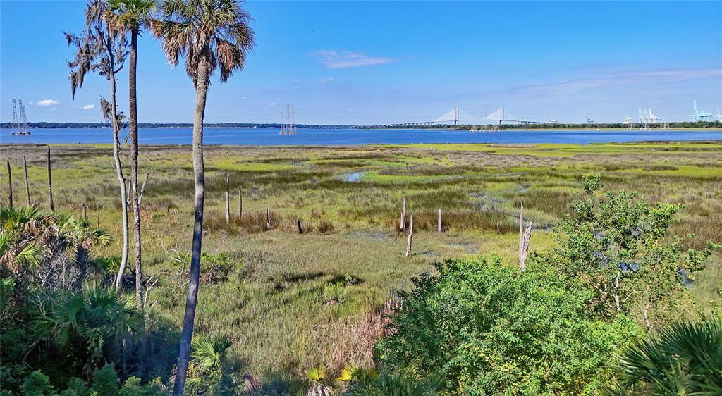 A view of a salt marsh with palm trees and a distant bridge over water — OAK LANDINGS DRIVE, JACKSONVILLE, FL