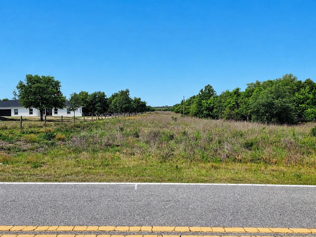 A view of a vacant, grassy lot bordered by trees and a paved road — 1716 TINDEL CAMP ROAD, LAKE WALES, FL