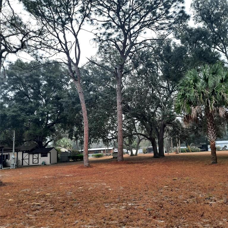A grassy lot with several large trees and a small shed in the background — 0000 NE 148TH COURT, FORT MC COY, FL