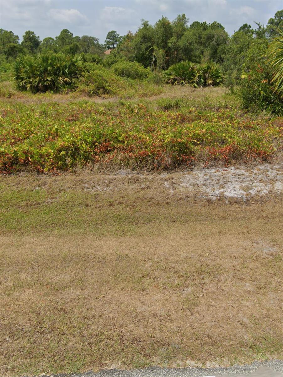 A vacant, grassy lot features patches of low-lying shrubs and distant trees under a sky — 1995 Clam Drive, Sebring FL 33870, SEBRING, FL