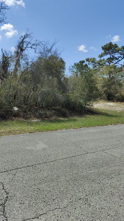 A paved road runs in front of a wooded lot with trees and shrubs — 408 VERNON COURT, KISSIMMEE, FL