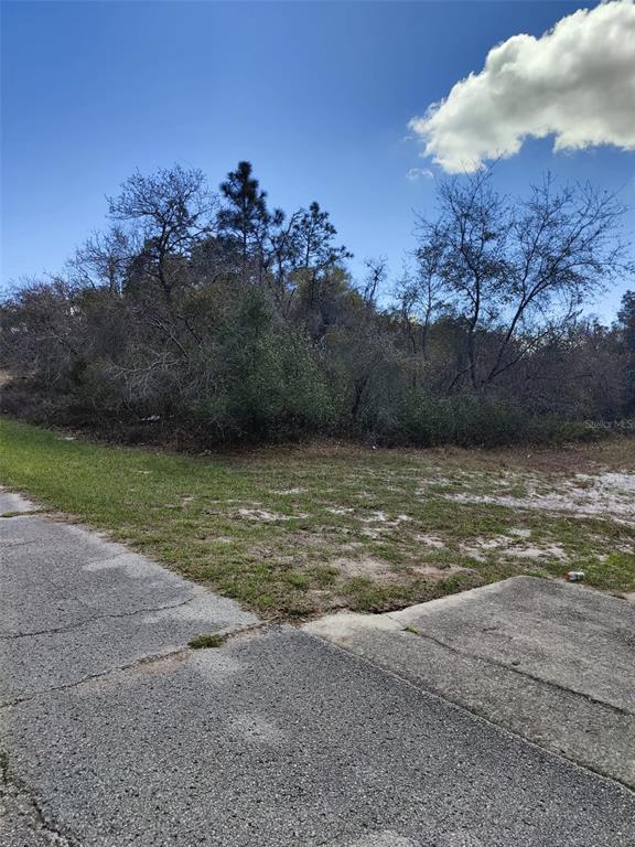 A paved driveway leads to a grassy, undeveloped lot with dense trees and shrubs — 408 VERNON COURT, KISSIMMEE, FL
