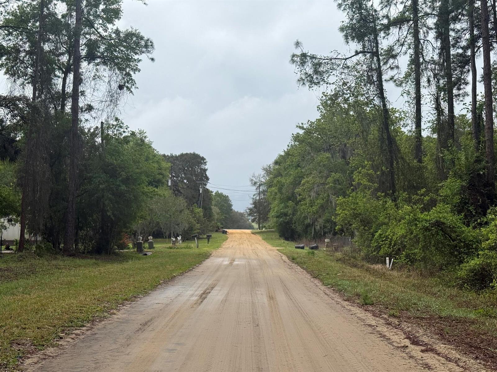 A dirt road stretches forward between dense trees and grassy shoulders under a cloudy sky — Tbd Seminole Avenue, FL 32148, FL