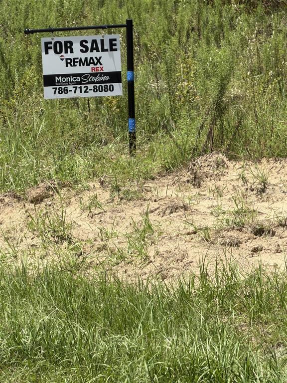 A real estate for sale sign stands in a grassy, sandy vacant lot — 6603 N BEDSTROW BOULEVARD, CITRUS SPRINGS, FL