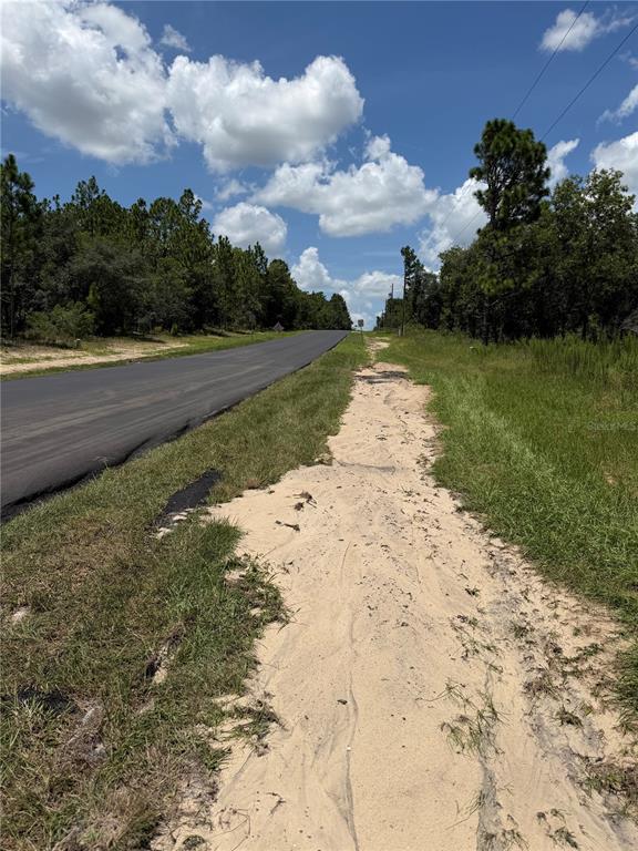 A paved road runs alongside a sandy shoulder bordered by grass and pine trees — 6603 N BEDSTROW BOULEVARD, CITRUS SPRINGS, FL