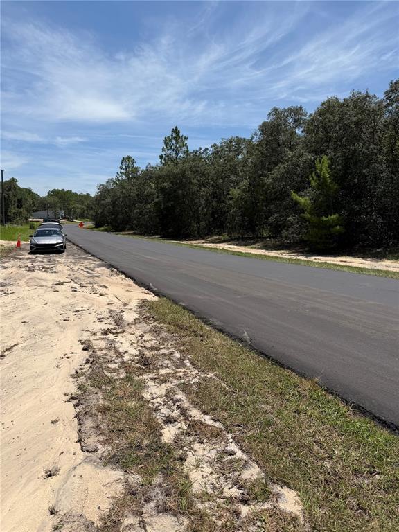 A paved road runs alongside a sandy shoulder and a line of trees — 6603 N BEDSTROW BOULEVARD, CITRUS SPRINGS, FL