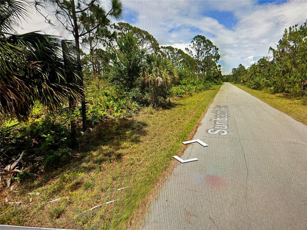 A paved road runs alongside a wooded area with palm trees and dense vegetation — 13550 SURIBACHI AVENUE, PORT CHARLOTTE, FL