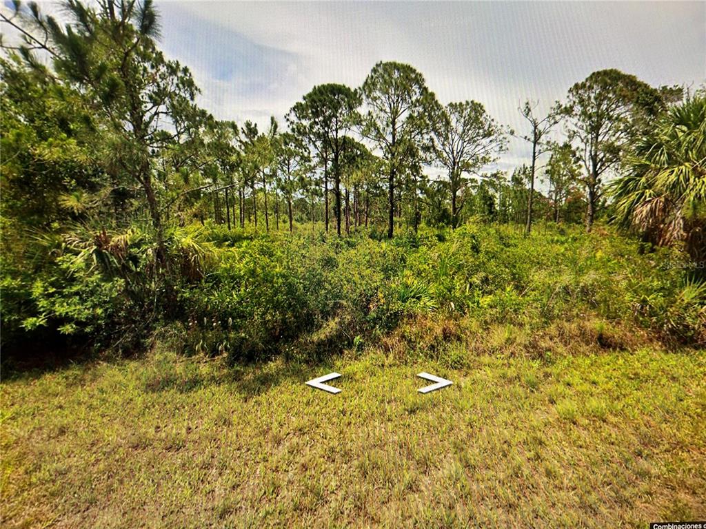 A view of a vacant, wooded lot covered in dense brush and pine trees — 13550 SURIBACHI AVENUE, PORT CHARLOTTE, FL