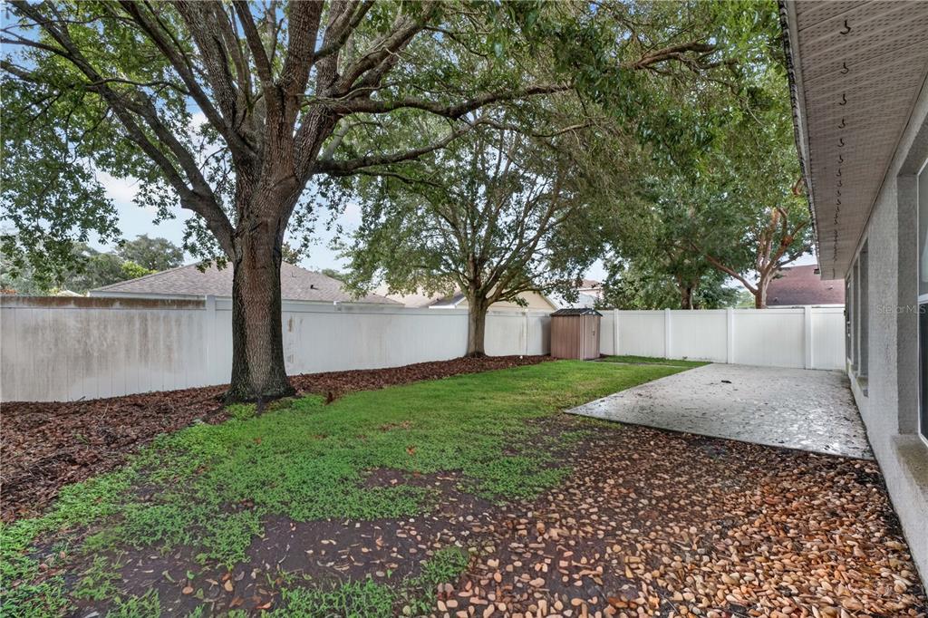 A backyard features a concrete patio, a small storage shed, and large trees along a fence — 2020 BRIARCLIFF CIRCLE, MOUNT DORA, FL