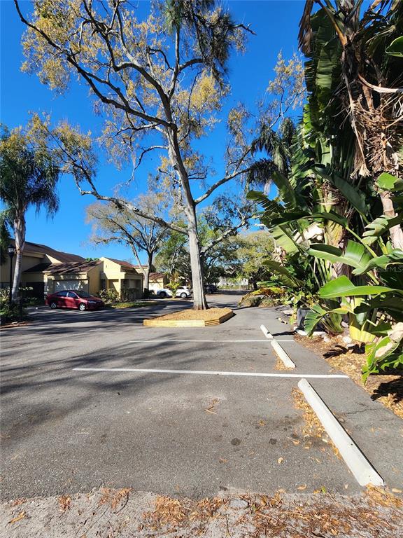 An outdoor parking lot with white painted lines and concrete wheel stops near trees — 3402 ELLENWOOD LANE, TAMPA, FL
