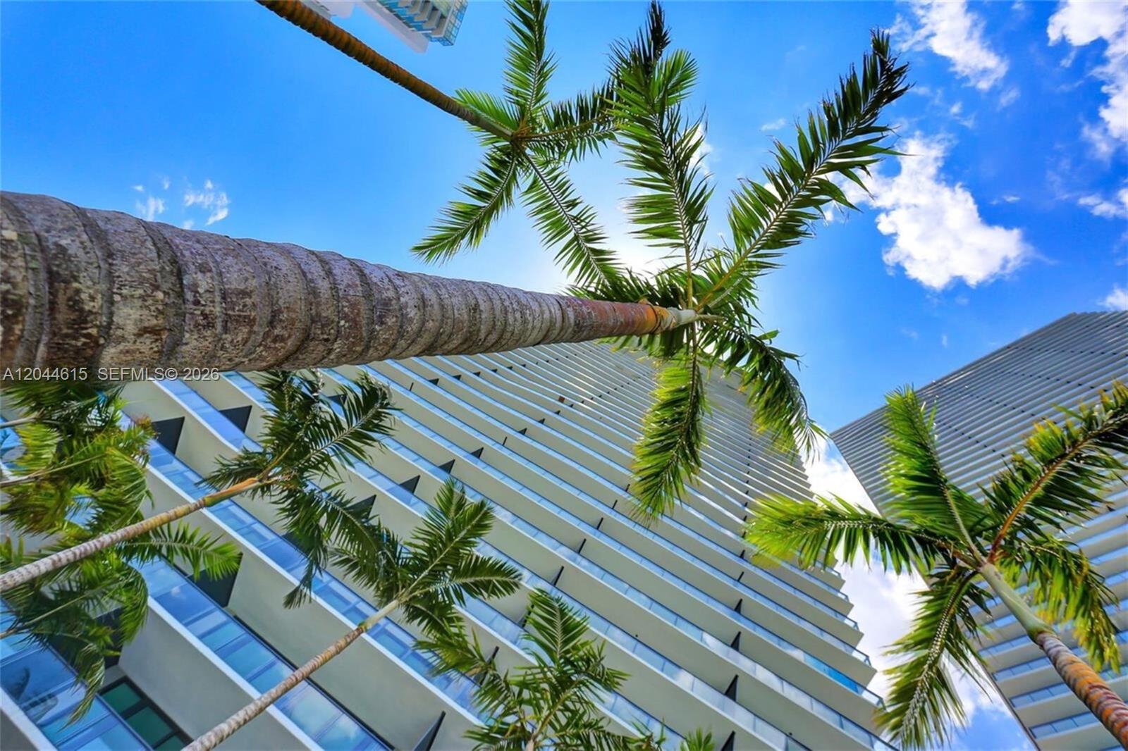 A low-angle view of modern high-rise buildings framed by palm trees against a blue sky — 650 NE 32nd St # 4805, Miami FL 33137, MIAMI, FL