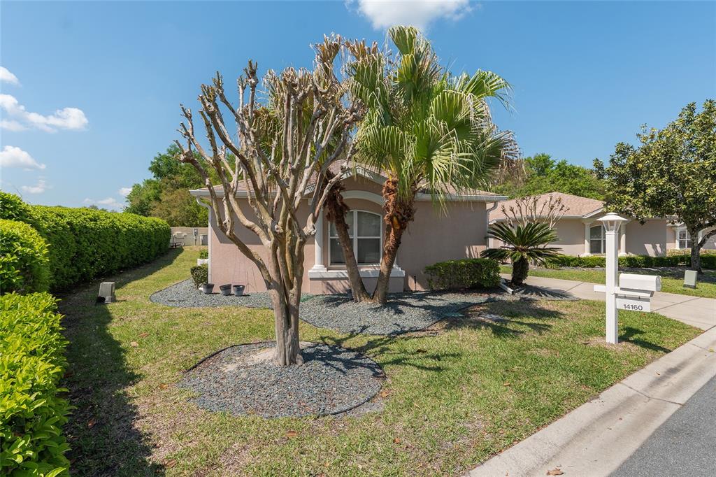 A tan house with a palm tree and a manicured hedge in the front yard — 14160 SE 85TH AVENUE, SUMMERFIELD, FL