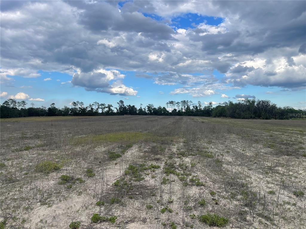 A wide, flat, sandy field under a cloudy sky with a tree line in back — 23535 NE 99TH AVENUE ROAD, CITRA, FL