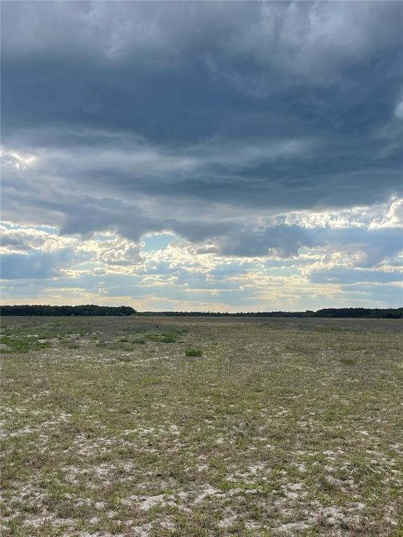 A wide, flat, grassy field under a dramatic, cloudy sky with a distant tree line — 23535 NE 99TH AVENUE ROAD, CITRA, FL